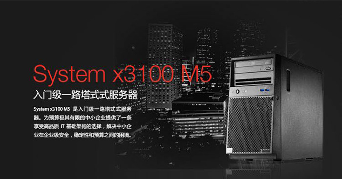 IBM X3100M5 ʽ 